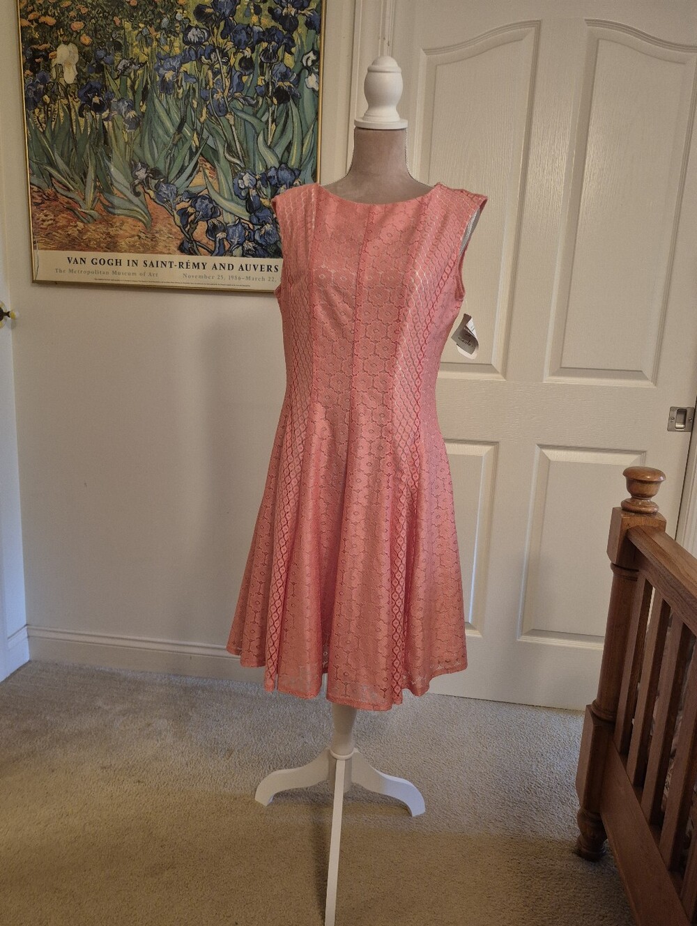 NWT Danny And Nicole Coral Floral Lace Fit-and-Flare Dress Size 14